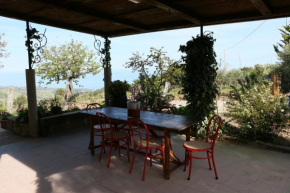  B&B Il Vigneto  Требизакче